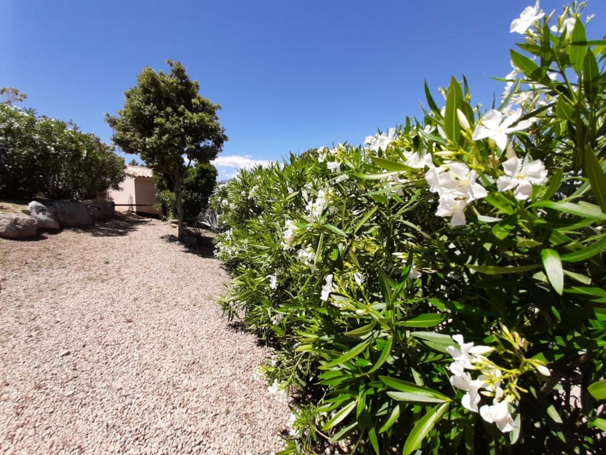 Sole Di Dume Hotel Sotta Bagian luar foto